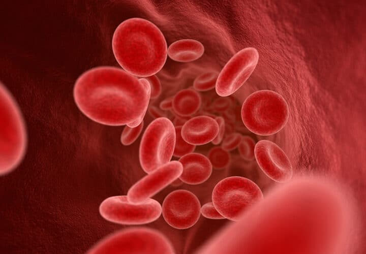 blood test alzheimer's