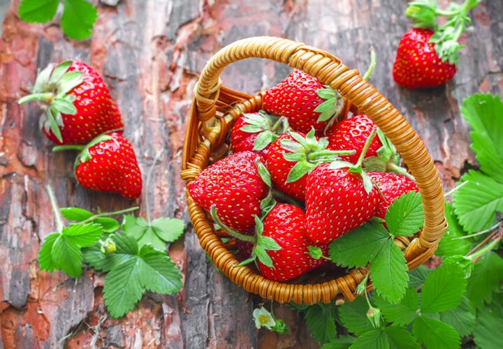 berries and dementia prevention