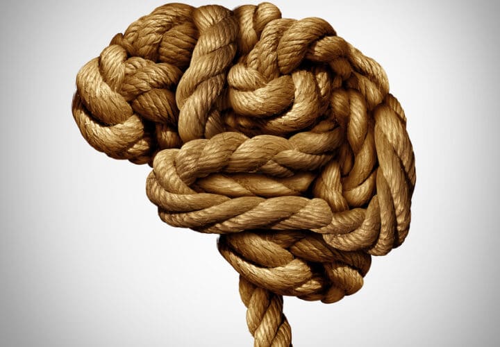 A rope shaped in the form of the brain to represent ApoE4 gene's contribution to Alzheimer's.