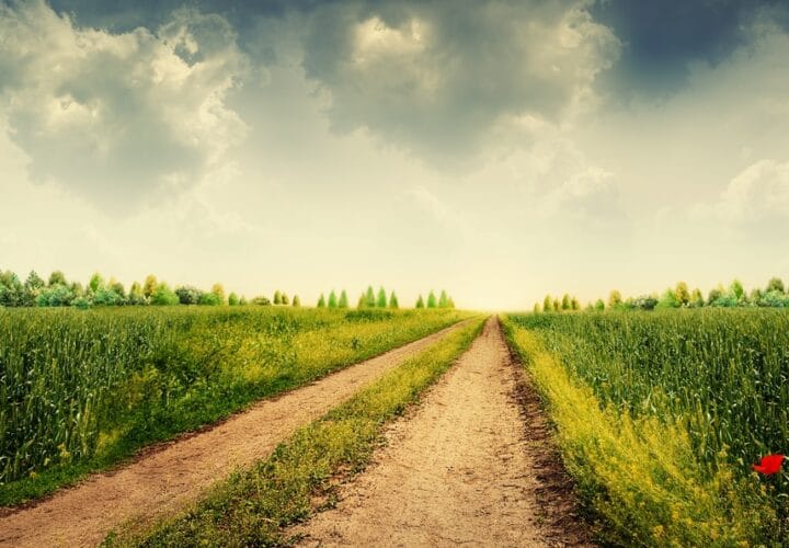 Rural area dementia risk