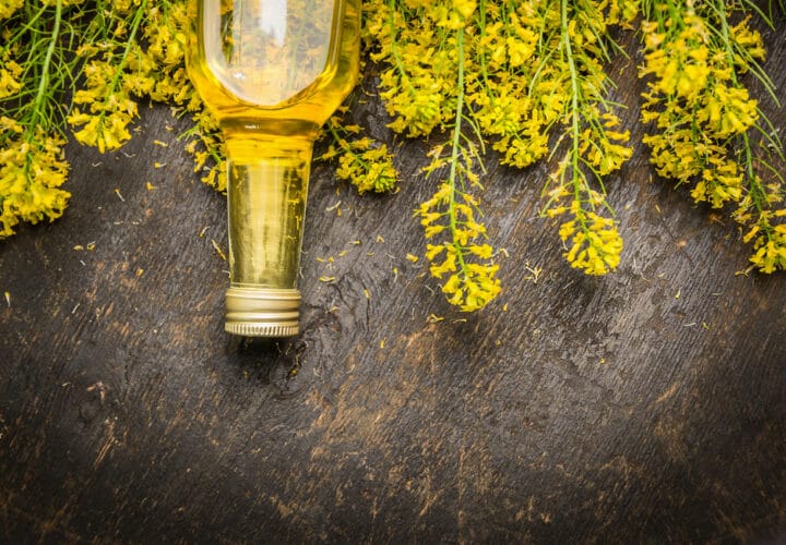 canola oil alzheimers