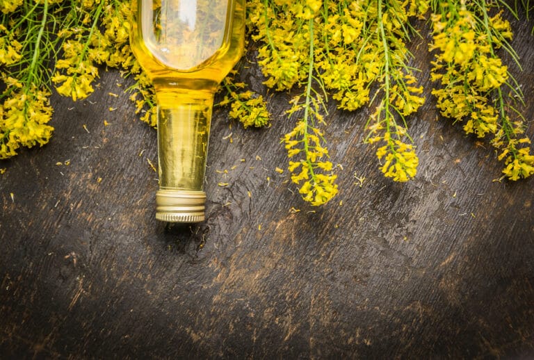 canola oil alzheimers