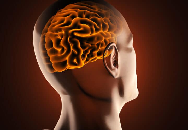 Brain Scans