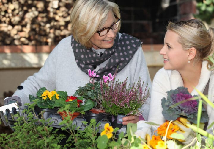 caregiver support