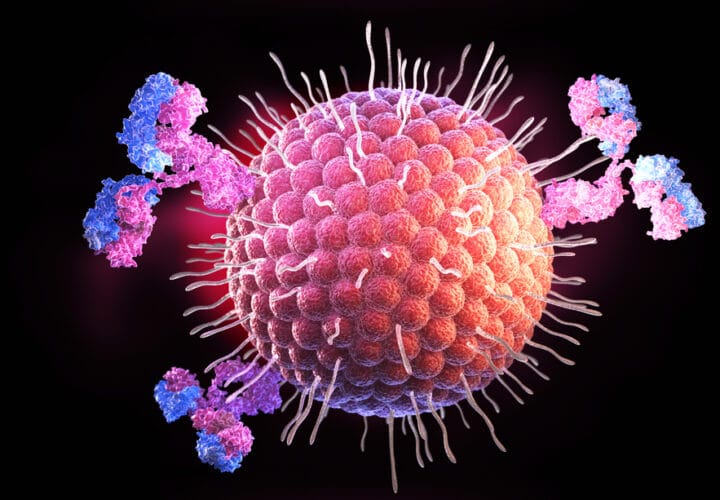 herpes virus alzheimers