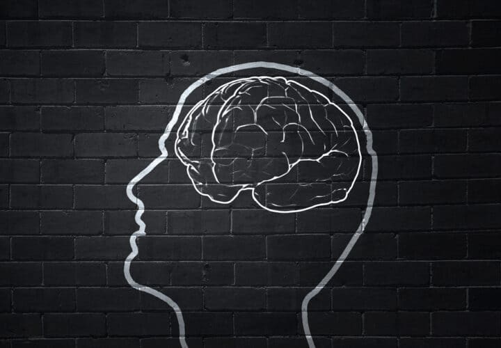 stress-brain