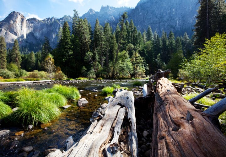 green-spaces-health-Yosemite