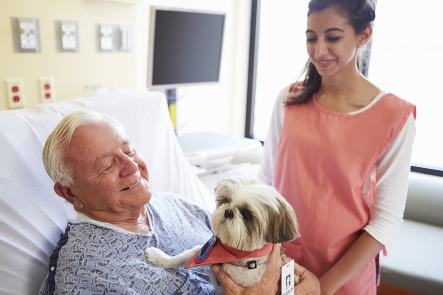 dementia-service-dogs