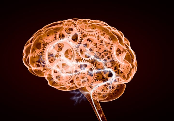 plaques no symptoms alzheiers
