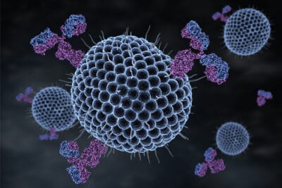 herpes-alzheimers