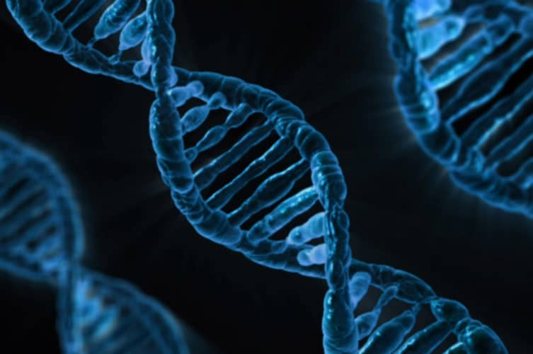 Scientists Discover Possible Genetic >> Scientists Discover 3 New Common Genetic Threads Among Alzheimer S Scientists Discover Possible Genetic >> Scientists Discover 3 New Common Genetic Threads Among Alzheimer S