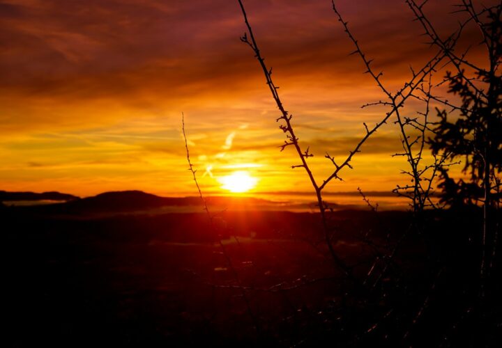 Dementia Sundowning for Caregivers