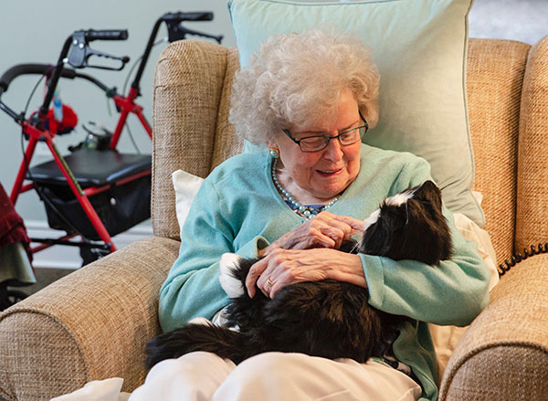 Robotic pets for older adults with dementia