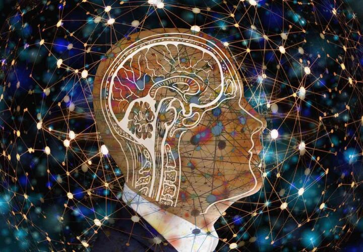 Problematic Protein TDP-43 Wreaks Havoc In the Brain