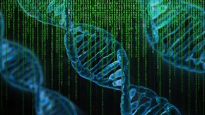 black alzheimer's genetics
