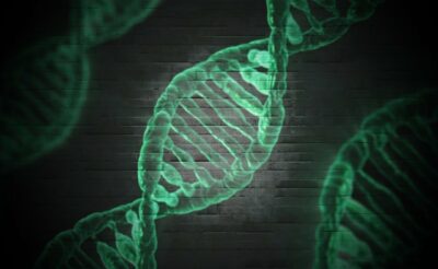 alzheimers genes
