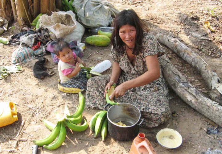 Tsimane brain, Indigenous Amazonians