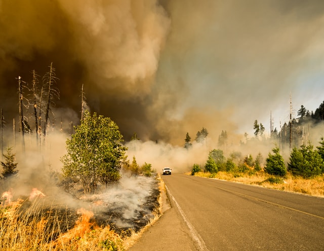 Wildfires and Alzheimer's