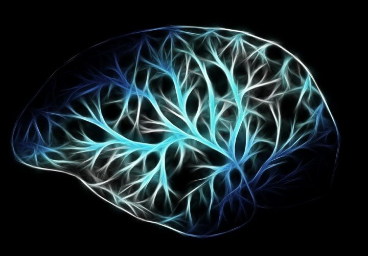 microglia dementia, TREM2