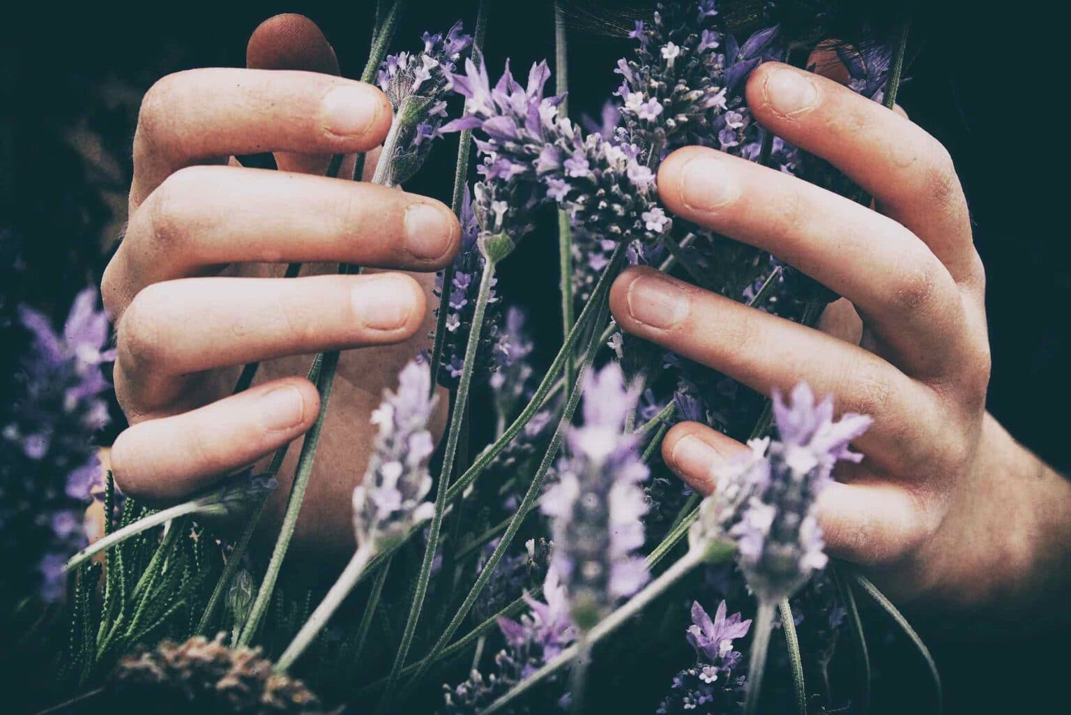 smell training for dementia, Ruth Sutcliff
