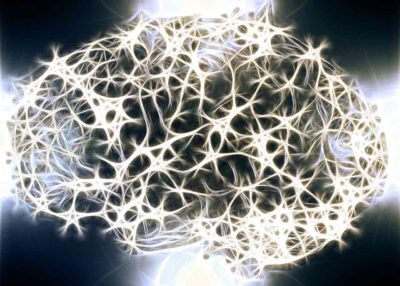 What happens in the brain when you die? Scientists measured electrical brain activity to determine what happens in your brain when your heart stops beating.