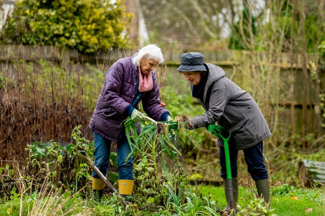 Research shows that over time, horticultural therapy can have cognitive benefits for people living with dementia.