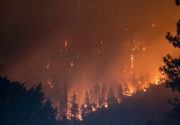 Brain Fog of Climate Trauma