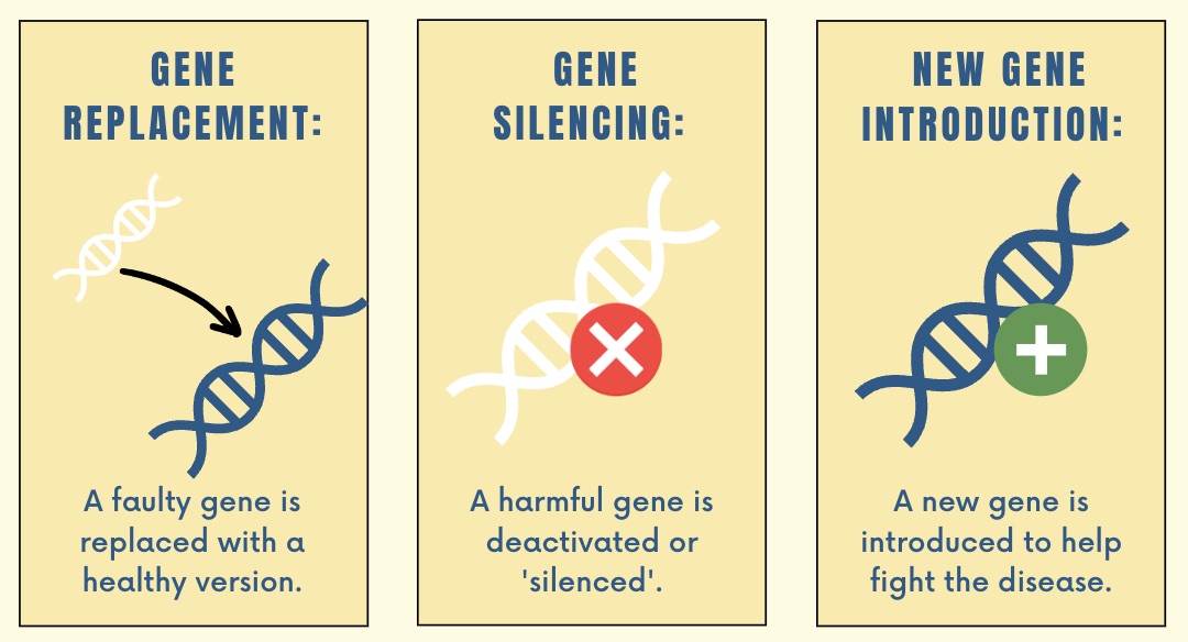 FDA-approved forms of gene therapy are already in use to treat diseases to treat diseases from melanoma to spinal muscular atrophy, through either replacing, silencing, or introducing genes into the genetic code.