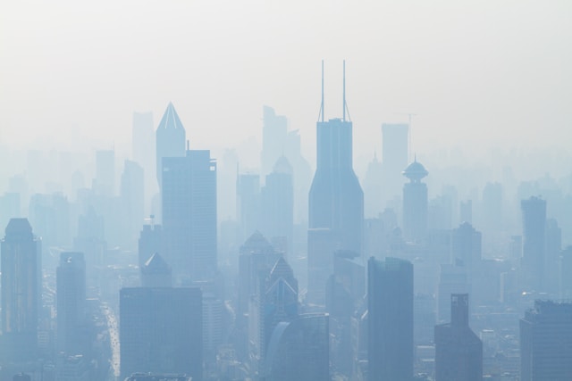 air pollution brain health